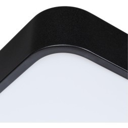 Потолочный светильник Arte Lamp SCENA A2662PL-1BK