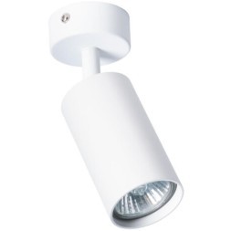 Накладной потолочный светильник Arte Lamp A3216PL-1WH AQUARIUS под лампу 1xGU10 35W