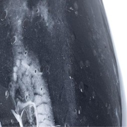 Декоративная настольная лампа Arte Lamp RUKBAT A5046LT-1BK