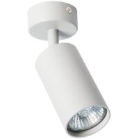 Накладной потолочный светильник Arte Lamp A3216PL-1GY AQUARIUS под лампу 1xGU10 35W