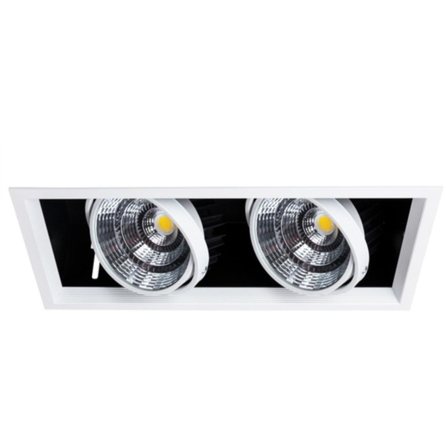 Встраиваемый светильник Arte Lamp A8450PL-2WH MERGA светодиодный 2xLED 50W