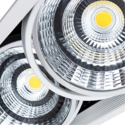 Встраиваемый светильник Arte Lamp A8450PL-2WH MERGA светодиодный 2xLED 50W