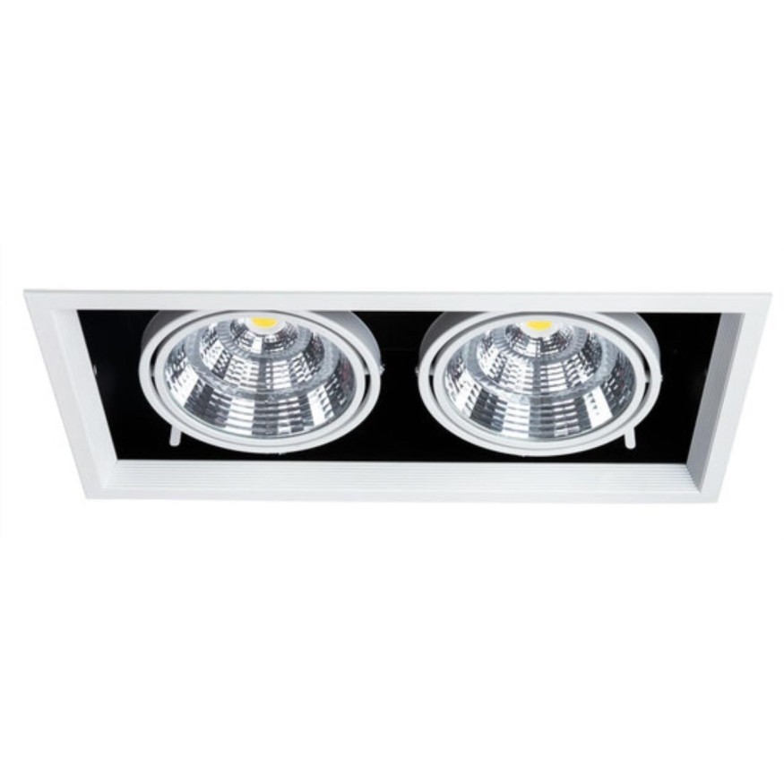 Встраиваемый светильник Arte Lamp A8450PL-2WH MERGA светодиодный 2xLED 50W