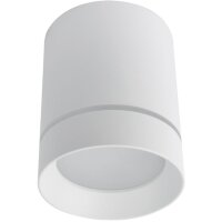 Накладной потолочный светильник Arte Lamp A1949PL-1WH ELLE светодиодный LED 9W