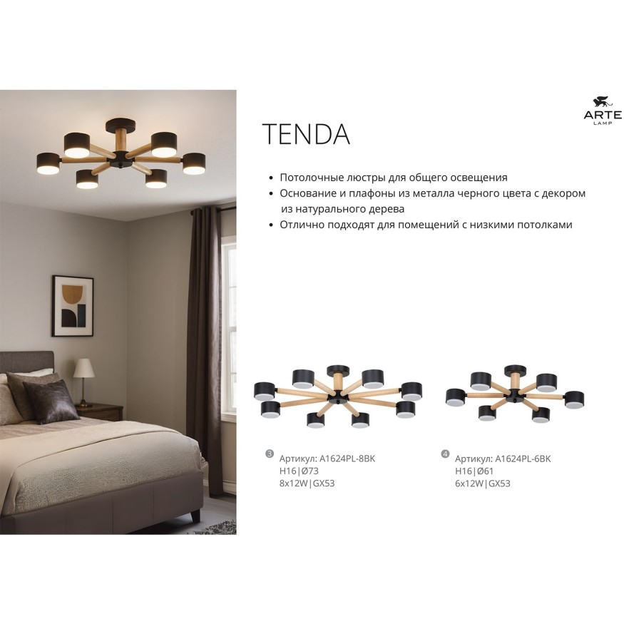 Потолочная люстра Arte Lamp TENDA A1624PL-6BK