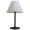 Декоративная настольная лампа Arte Lamp ALEA A5068LT-1BK