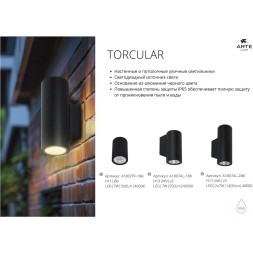Фасадный светильник LED 2700/3400/4000 1500Lm Arte Lamp TORCULAR A1307AL-2BK