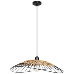 Подвесной светильник Arte Lamp WOODSTOCK A7061SP-1BK