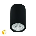 Уличный потолочный светильник LED 2700/3400/4000 650Lm Arte Lamp TORCULAR A1307PF-1BK