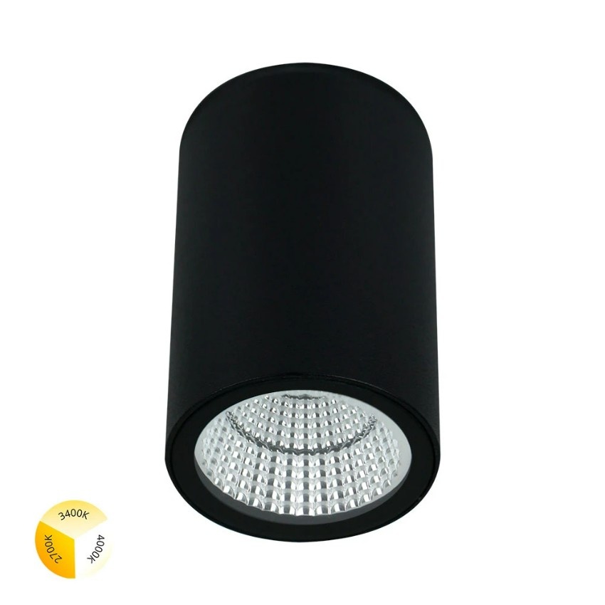 Уличный потолочный светильник LED 2700/3400/4000 650Lm Arte Lamp TORCULAR A1307PF-1BK