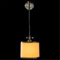 Подвесной светильник с 1 плафоном Arte Lamp A3990SP-1CC FURORE под лампу 1xE27 60W