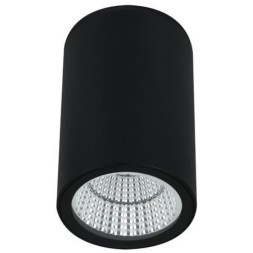 Уличный потолочный светильник Arte Lamp TORCULAR A1807PF-1BK