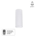 Точечный накладной светильник Arte Lamp NET MINI A6450PL-1WH