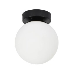 Настенно-потолочный светильник Arte Lamp ALCOR A2224PL-1BK