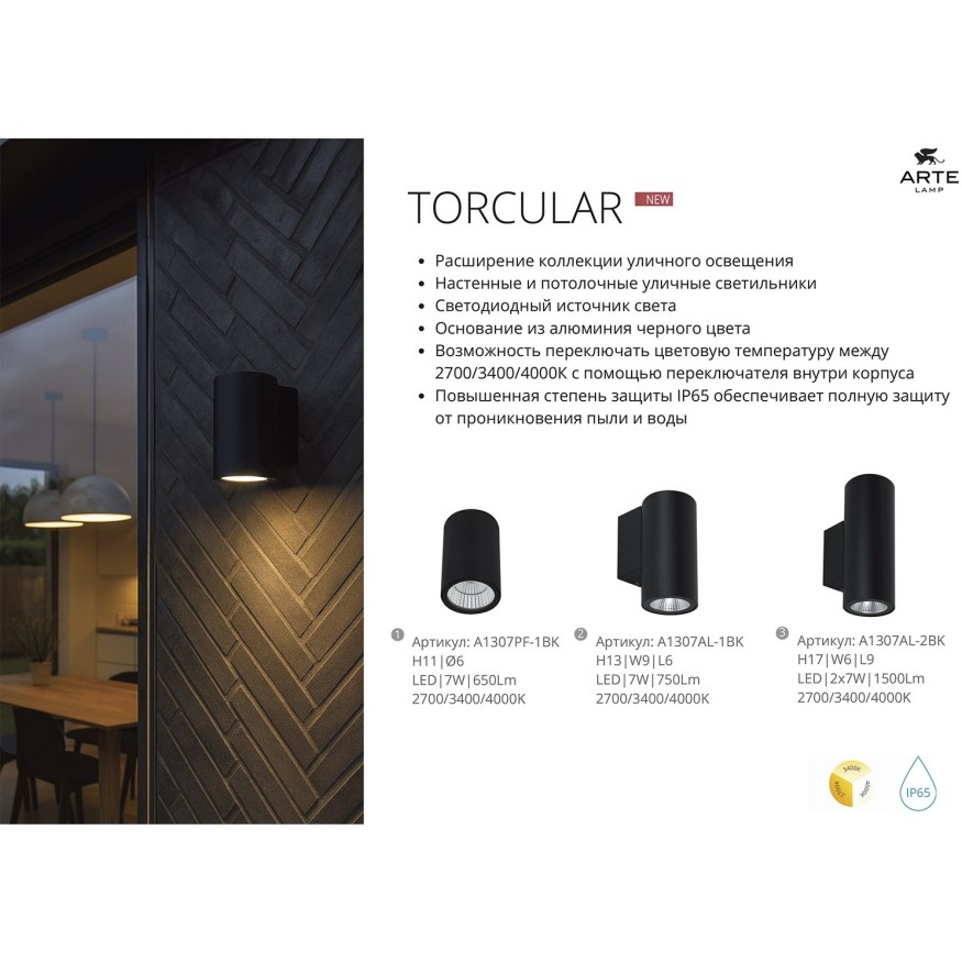 Фасадный светильник LED 2700/3400/4000 2600Lm Arte Lamp TORCULAR A1313AL-2BK