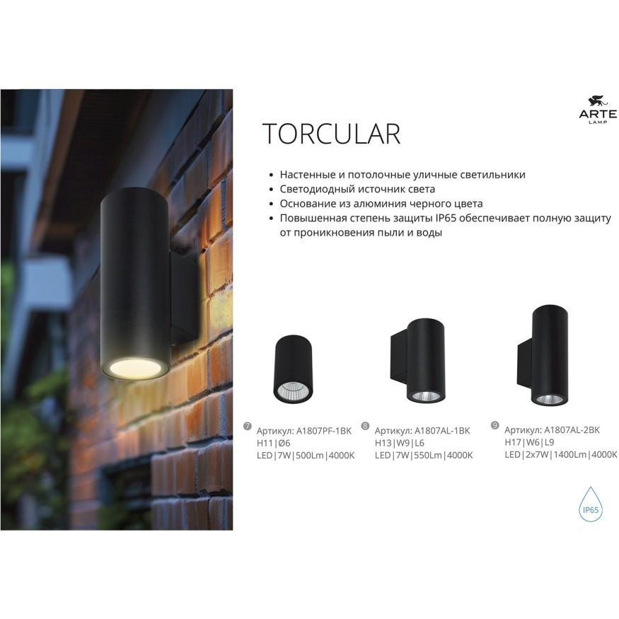 Фасадный светильник LED 2700/3400/4000 2600Lm Arte Lamp TORCULAR A1313AL-2BK