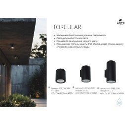 Уличный потолочный светильник LED 2700/3400/4000 1350 Lm Arte Lamp TORCULAR A1313PF-1BK