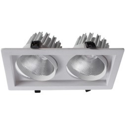 Точечный встраиваемый светильник Arte Lamp PRIVATO A7018PL-2WH