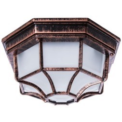 Уличный потолочный светильник Arte Lamp A3100PL-1AC PEGASUS IP44 под лампу 1xE27 60W