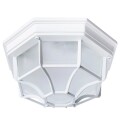 Уличный потолочный светильник Arte Lamp A3100PL-1WH PEGASUS IP44 под лампу 1xE27 60W