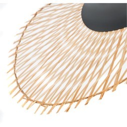 Подвесной светильник Arte Lamp WOODSTOCK A7063SP-1BK