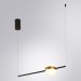 Подвесной светильник Arte Lamp FURUD A2124SP-1BK