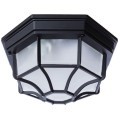 Уличный потолочный светильник Arte Lamp A3100PL-1BK PEGASUS IP44 под лампу 1xE27 60W