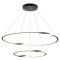Подвесная люстра Arte Lamp VERITATE A2211SP-2BK