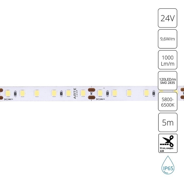 A2412008-06-6K Светодиодная лента 24В 9,6Вт/м 1000Лм/м 6000К CRI 90+ 8мм SMD2835 120шт/м 5м IP65