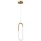 Подвесной светильник Arte lamp LUMINO A2233SP-20GO