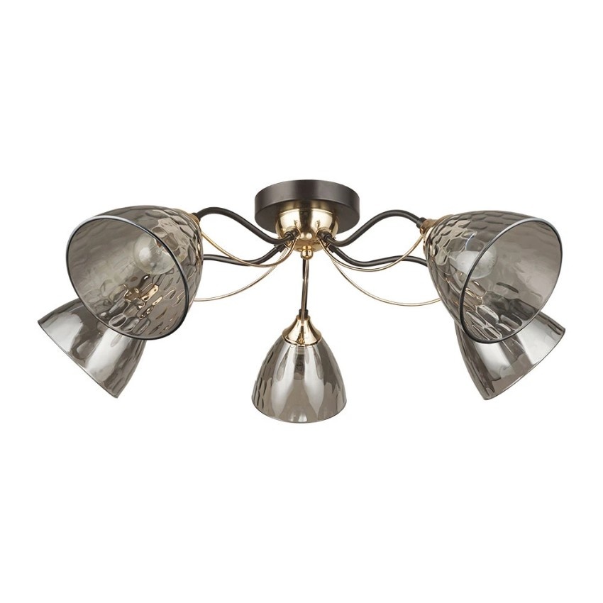 Потолочная люстра с 5 стеклянными плафонами под лампы цоколя Е27 Arte Lamp LILY A4366PL-5BK