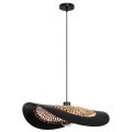 Подвесной светильник Arte Lamp WOODSTOCK A7059SP-1BK