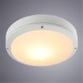 Уличный потолочный светильник Arte Lamp CITY A8154PF-2WH