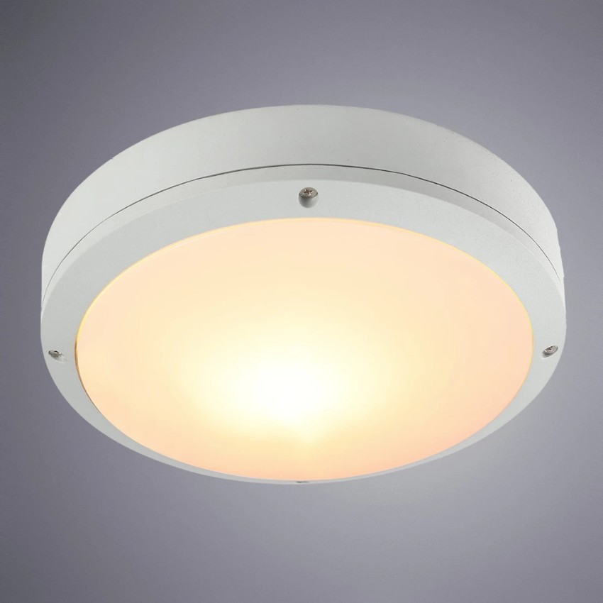 Уличный потолочный светильник Arte Lamp CITY A8154PF-2WH