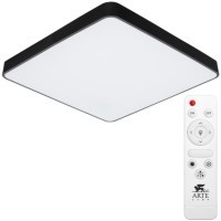 Настенно-потолочный светильник Arte Lamp A2669PL-1BK SCENA светодиодный LED 100W