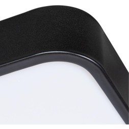 Настенно-потолочный светильник Arte Lamp A2669PL-1BK SCENA светодиодный LED 100W