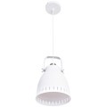 Подвесной светильник Arte Lamp LUNED A2214SP-1WH
